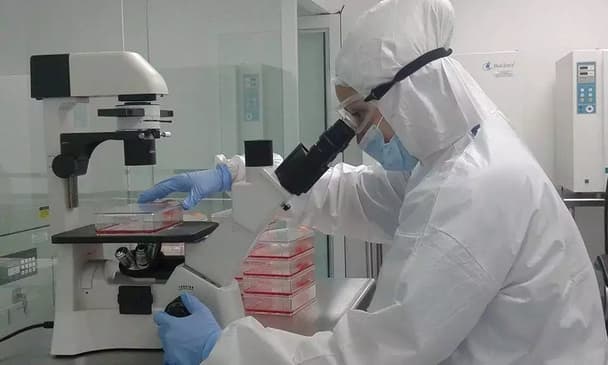 Slider image (3) Instituto de Terapia Celular - Stem Cell Guadalajara Mexico